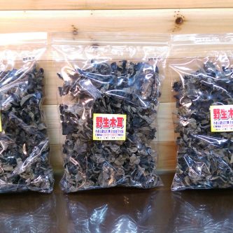 高海拔野生木耳